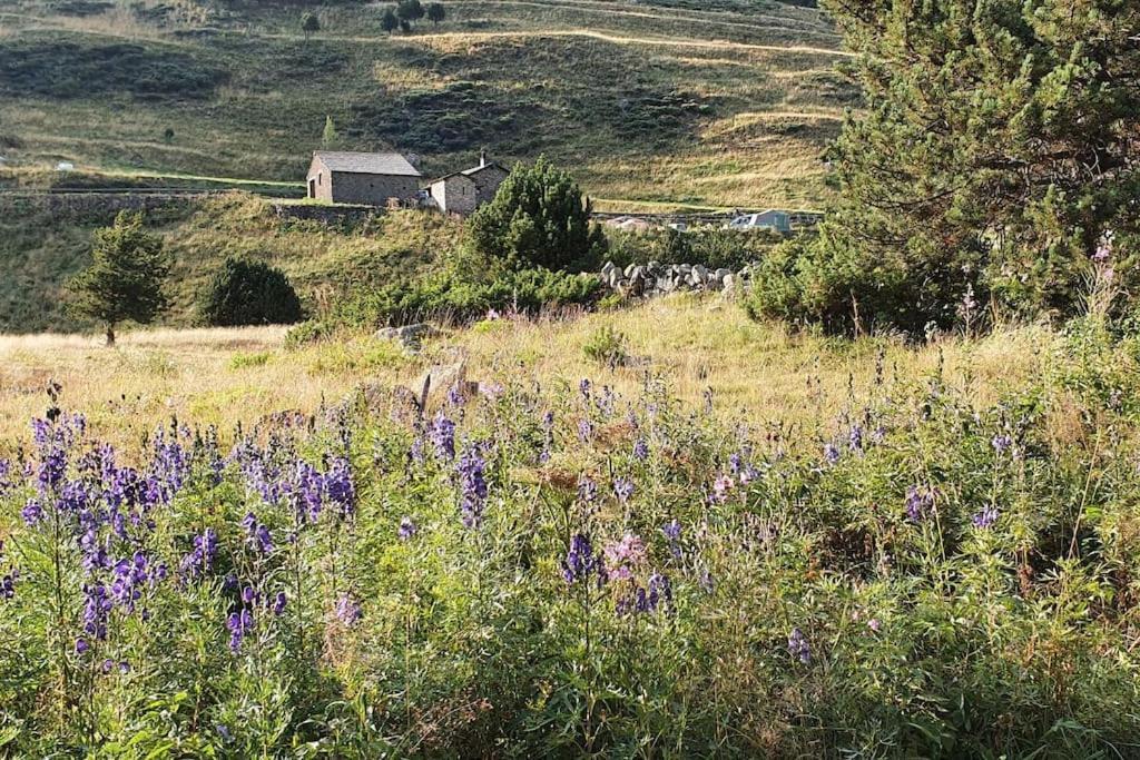 Acollidor Estudi Amb Encant Nordic I Amb Parquing, Al Costat De Grandvalira Canillo Luaran gambar